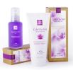 Линия «Золотая орхидея»   Gold orchid line